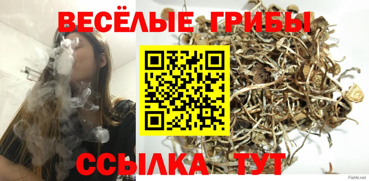 Псилоцибиновые грибы мухоморы Карталы
